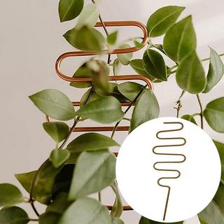 Northio Pflanzenstütze rostfrei - Zickzack  