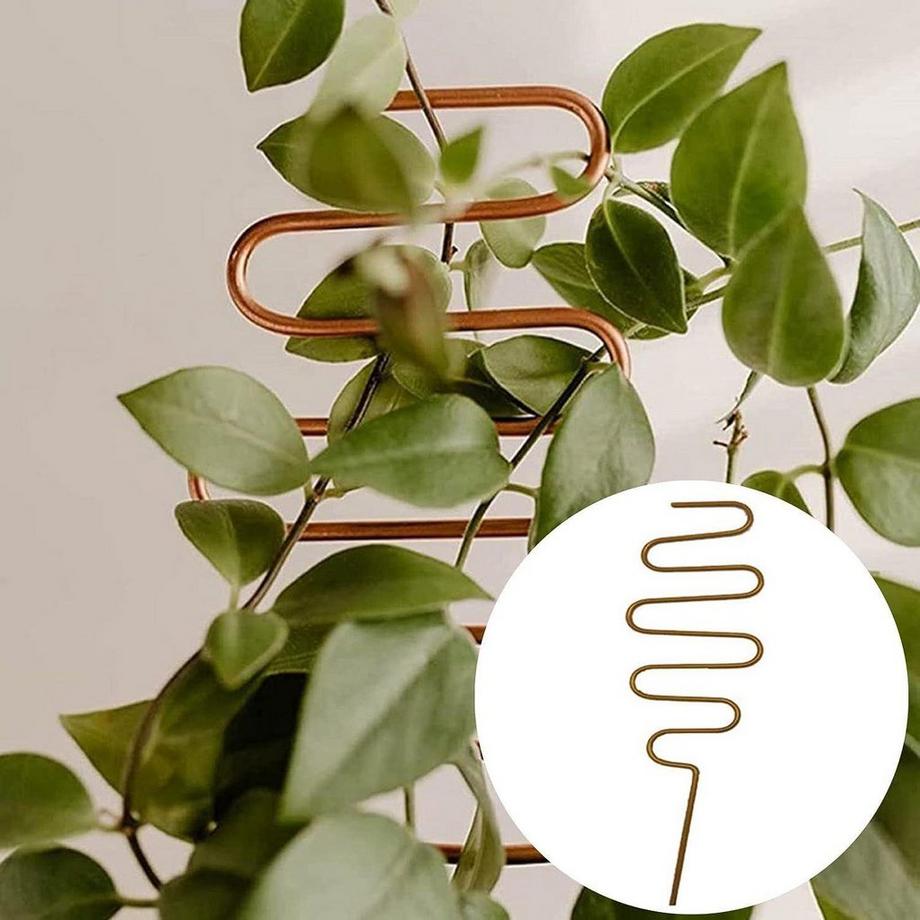 Northio Pflanzenstütze rostfrei - Zickzack  