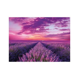 Clementoni  Puzzle Lavendel Feld (1000Teile) 