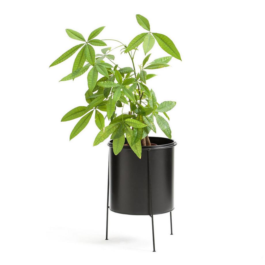 La Redoute Intérieurs Cache-pot sur pied métal fer peint Ø30 cm  