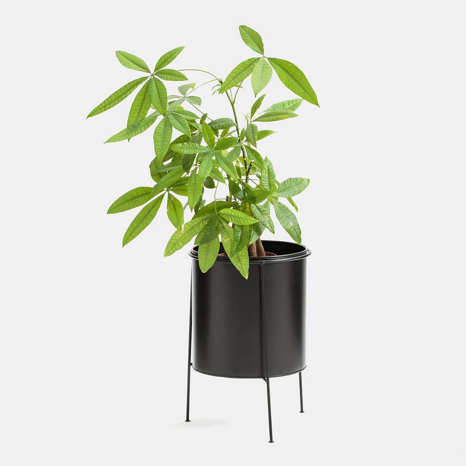 La Redoute Intérieurs Cache-pot sur pied métal fer peint Ø30 cm  