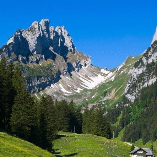 Geschenkidee  Expérience nature au coeur des Alpes avec nuitée (pour 1 personne) 