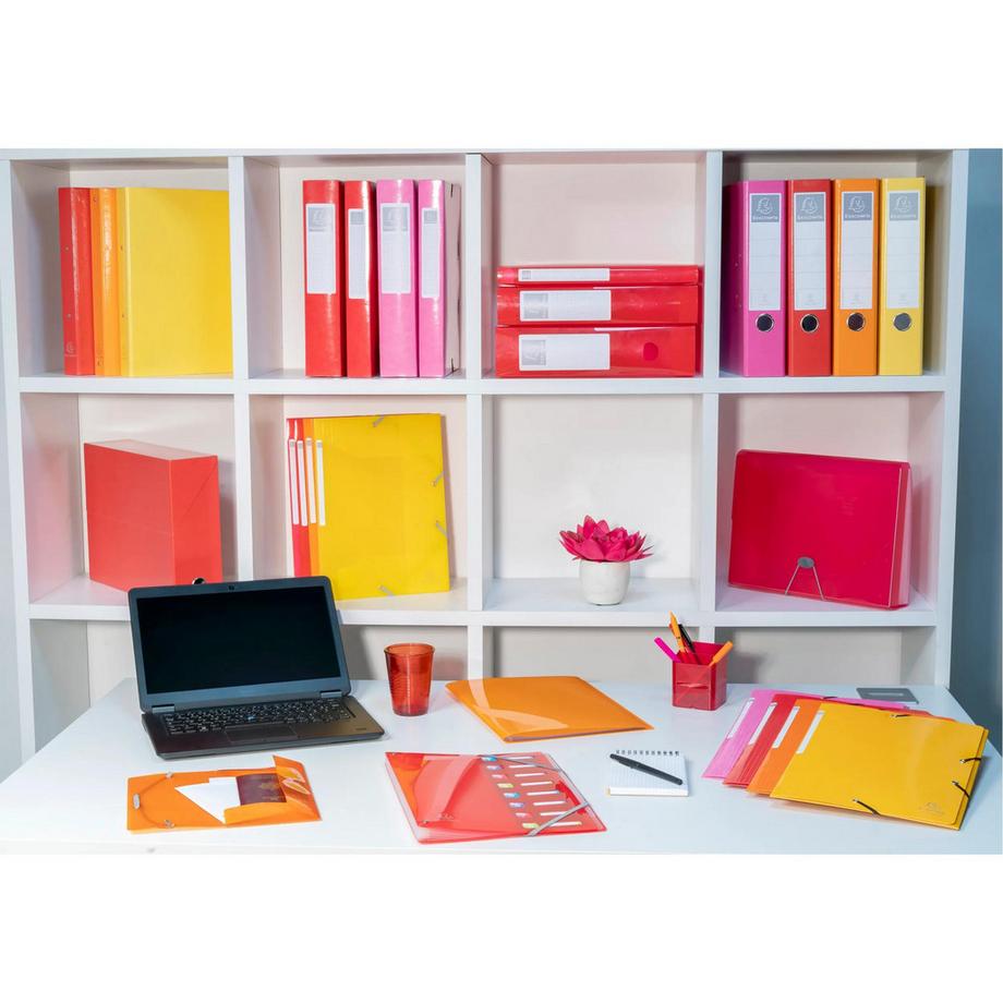 Exacompta Classeur A4 4 anneaux 30mm Iderama - x 10  