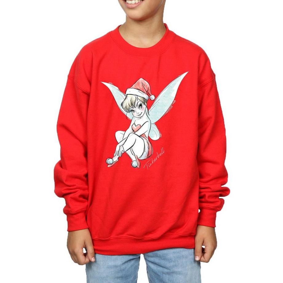 Disney  Fairy Sweatshirt 