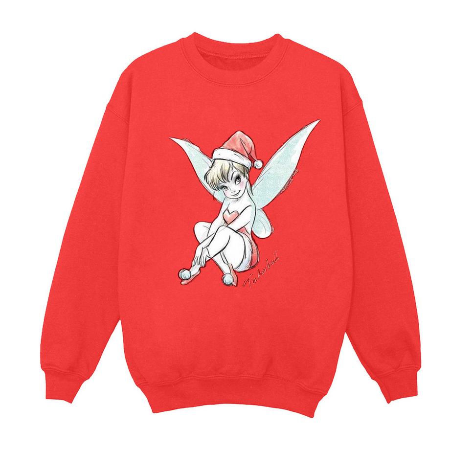 Disney  Fairy Sweatshirt 