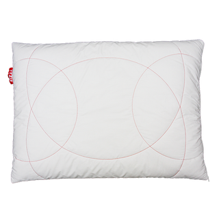 Zizzz Oreiller Swisswool  