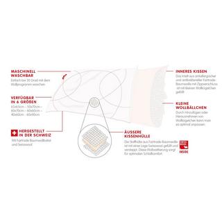 Zizzz Oreiller Swisswool  