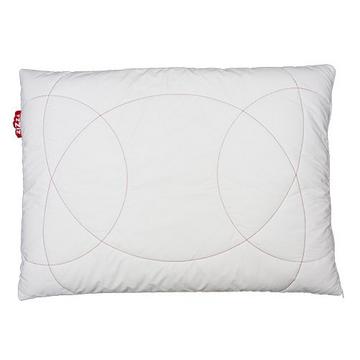 Kissen Bio-Baumwolle & Schafwolle (Swisswool) 60x60