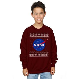 Nasa  Sweat 