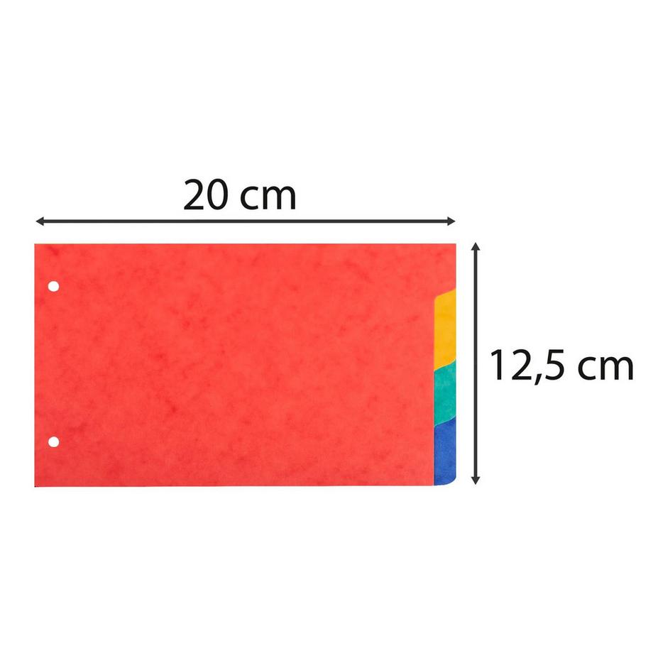 Exacompta Divisori neutri 4 tasti 2 fori per schede bristol cartoncino lustré 225g/mq - 125x200mm - x 10  