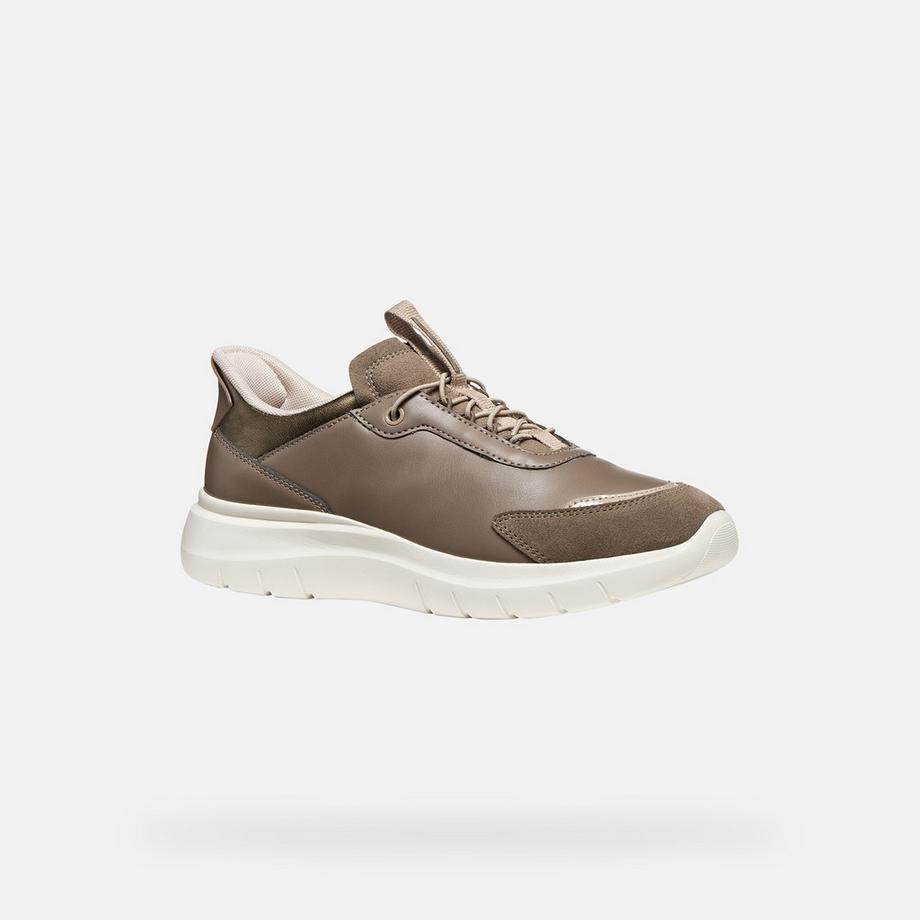 GEOX Sneakers Plummery Plus  