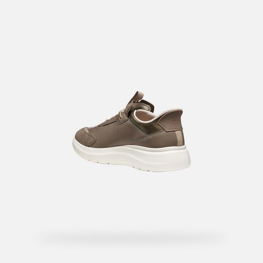 GEOX Sneakers Plummery Plus  