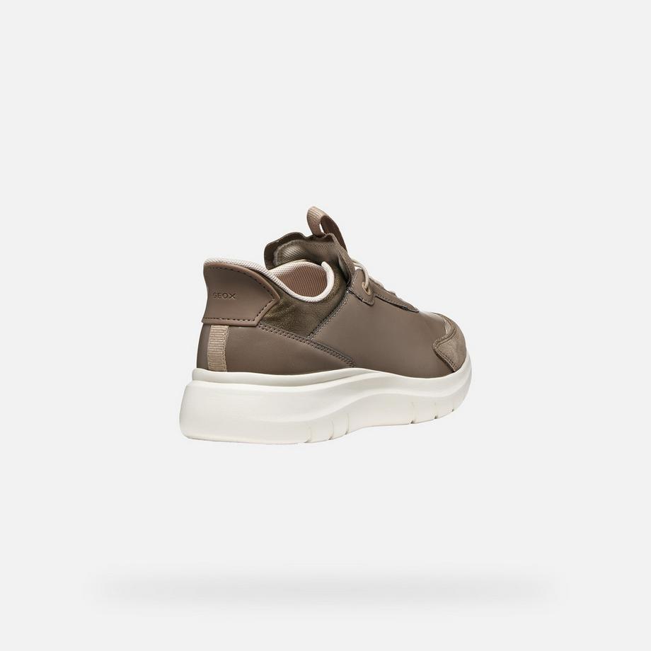 GEOX Sneakers Plummery Plus  