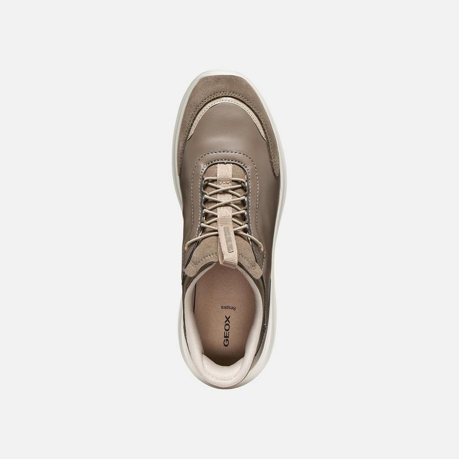GEOX Sneakers Plummery Plus  