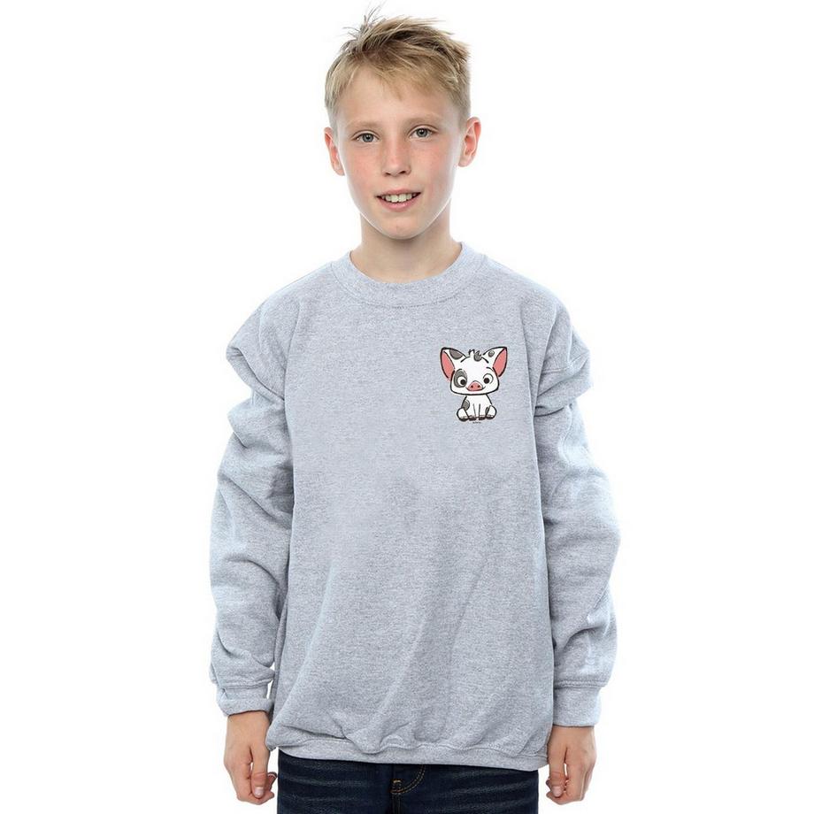 Disney  Sweatshirt 