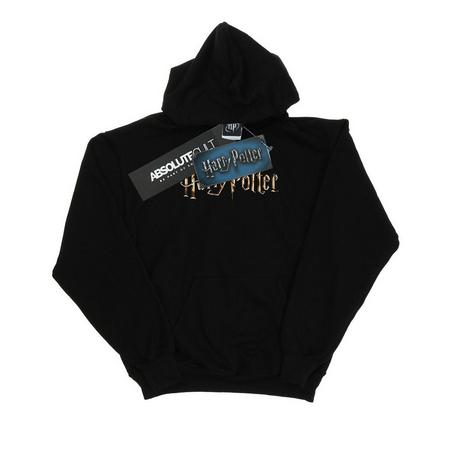 HARRY-POTTER  Sweat à capuche FULL COLOUR LOGO 