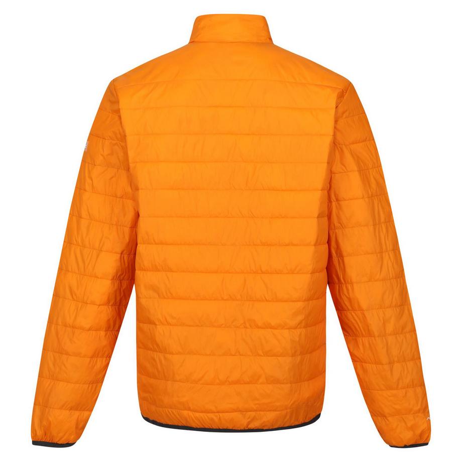 Regatta Giacca Isolante Hillpack  