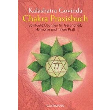 Chakra Praxisbuch