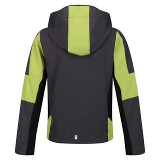 Regatta  Acidity VI Softshelljacke 