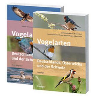 Vogelarten Deutschlands, Österreichs und der Schweiz Balzari, Carl'Antonio; Graf, Roland; Griesohn-Pflieger, Thomas; Gygax, Andreas; Lücke, Robert Couverture rigide 