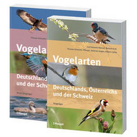 Vogelarten Deutschlands, Österreichs und der Schweiz Balzari, Carl'Antonio; Graf, Roland; Griesohn-Pflieger, Thomas; Gygax, Andreas; Lücke, Robert Couverture rigide 