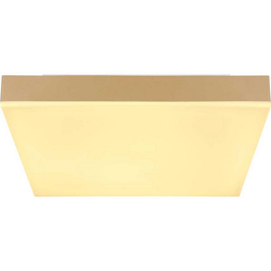 mutoni light Deckenleuchte Doro LED  