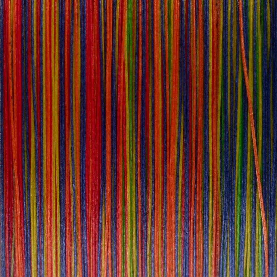 CAPERLAN  Angelschnur geflochten Meeresangeln MTX8 Multicolor 300 m 0,40 mm 