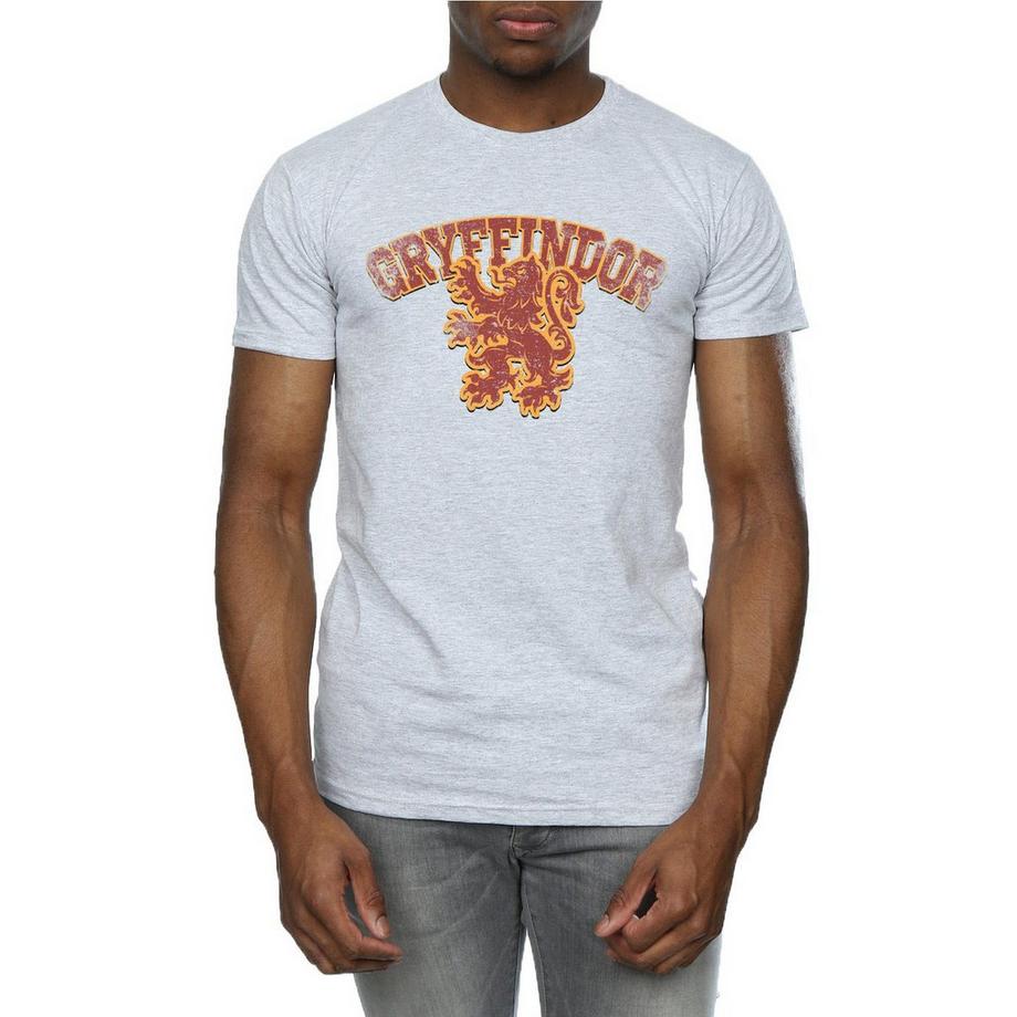 Harry Potter Gryffindor T-Shirt  