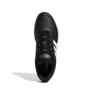 adidas  sneakers hoops 3.0 