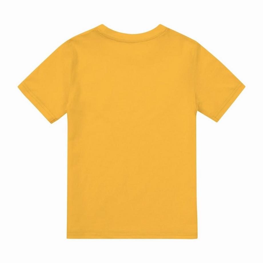 Jurassic Park  TShirt 