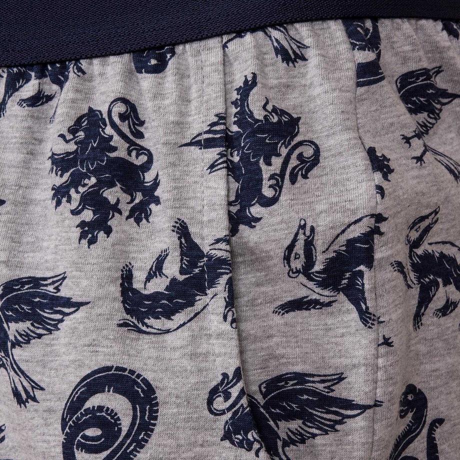Harry Potter  Ensemble de pyjama court HOGWARTS ALUMNI 