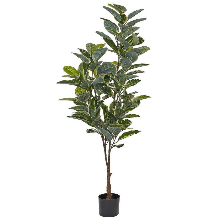 Pianta artificiale en Materiale sintetico  FICUS ELASTICA