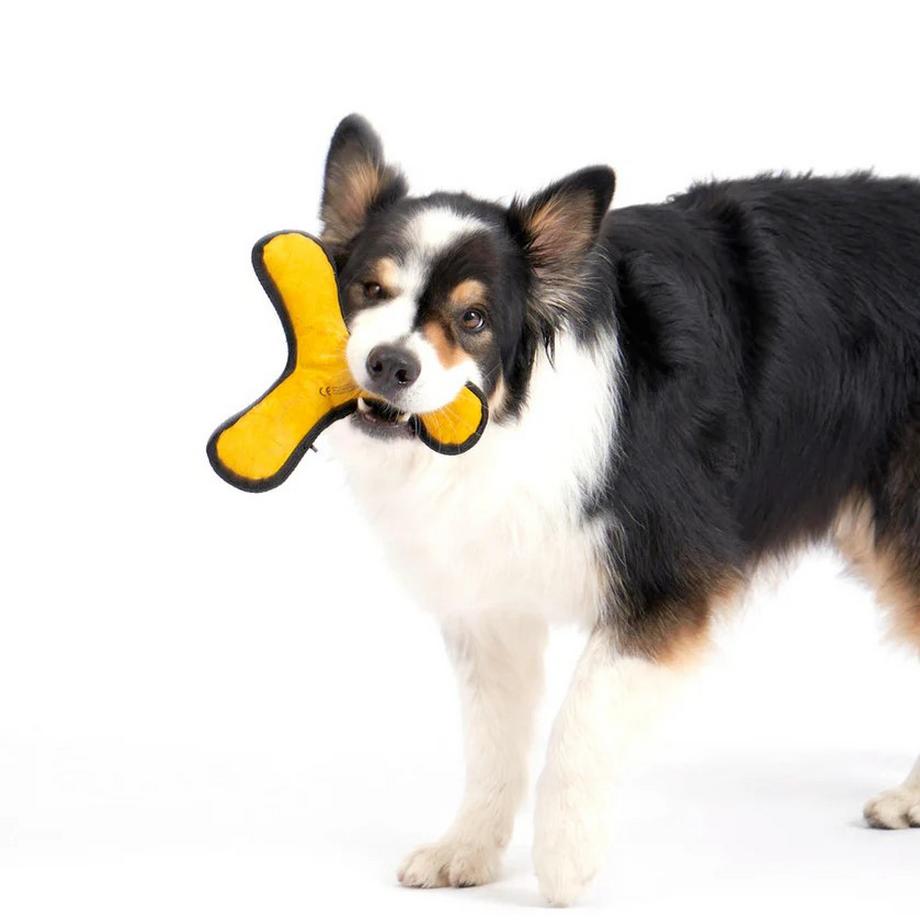 Redoggo  Aktivspielzeug Bumerang 