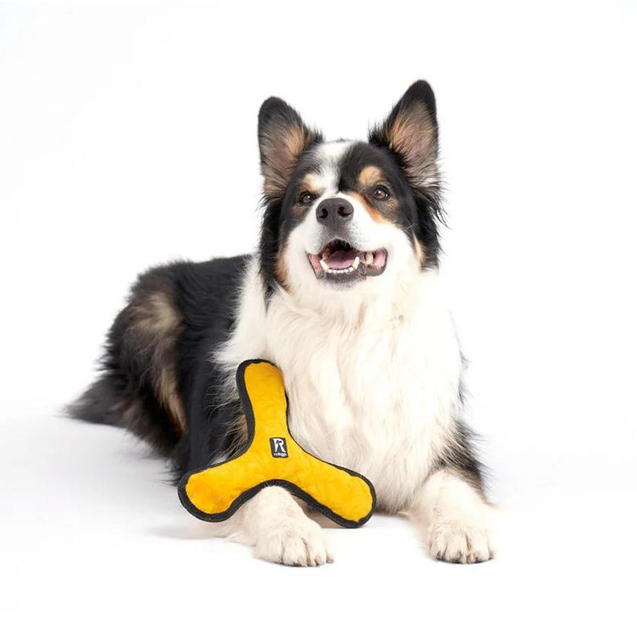 Redoggo  Aktivspielzeug Bumerang 