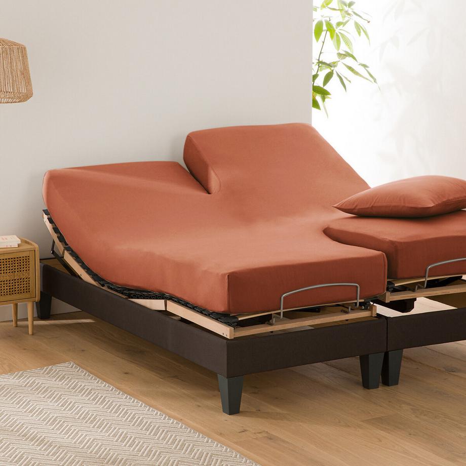 La Redoute Intérieurs Drap housse jersey Scenario pour lits doubles articulés  