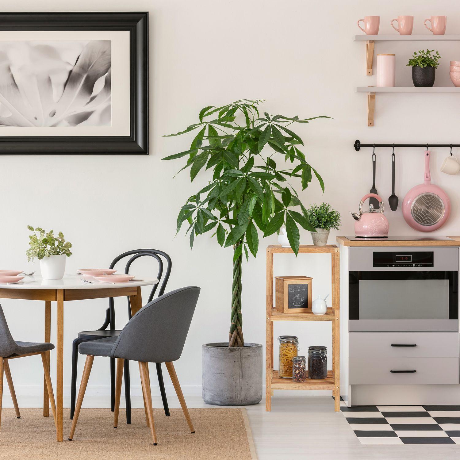 B2X Badezimmerregal in Nussbaum mit 3 Ablagen  