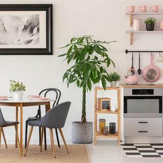 B2X Badezimmerregal in Nussbaum mit 3 Ablagen  