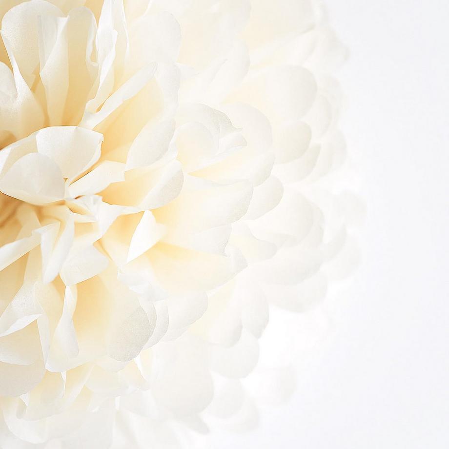 Alopini  12 Stück Partydekoration, altmodische Pompons aus Seidenpapier, Seidenpapierblumen 