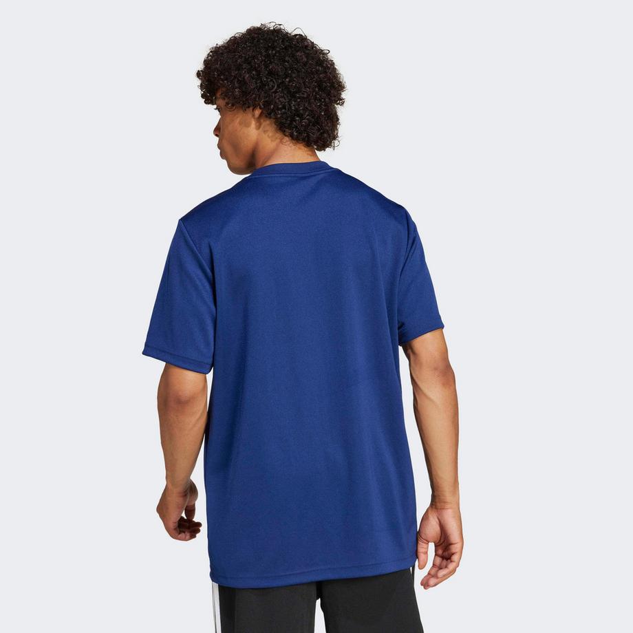 adidas  t-hirt da upporter xv de france 2024/25 