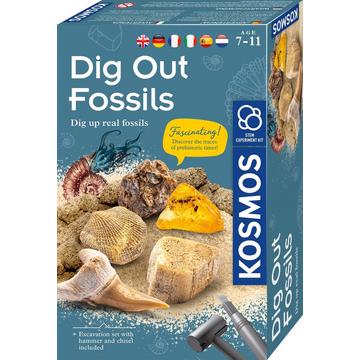 Kosmos Dig Out Fossils