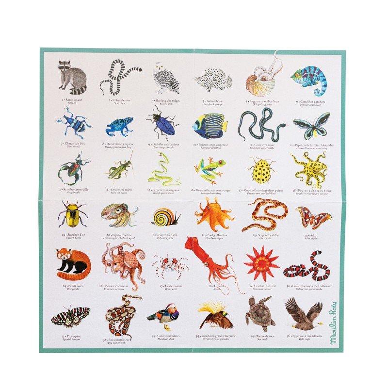 Moulin Roty  Memo Tout autour du monde 