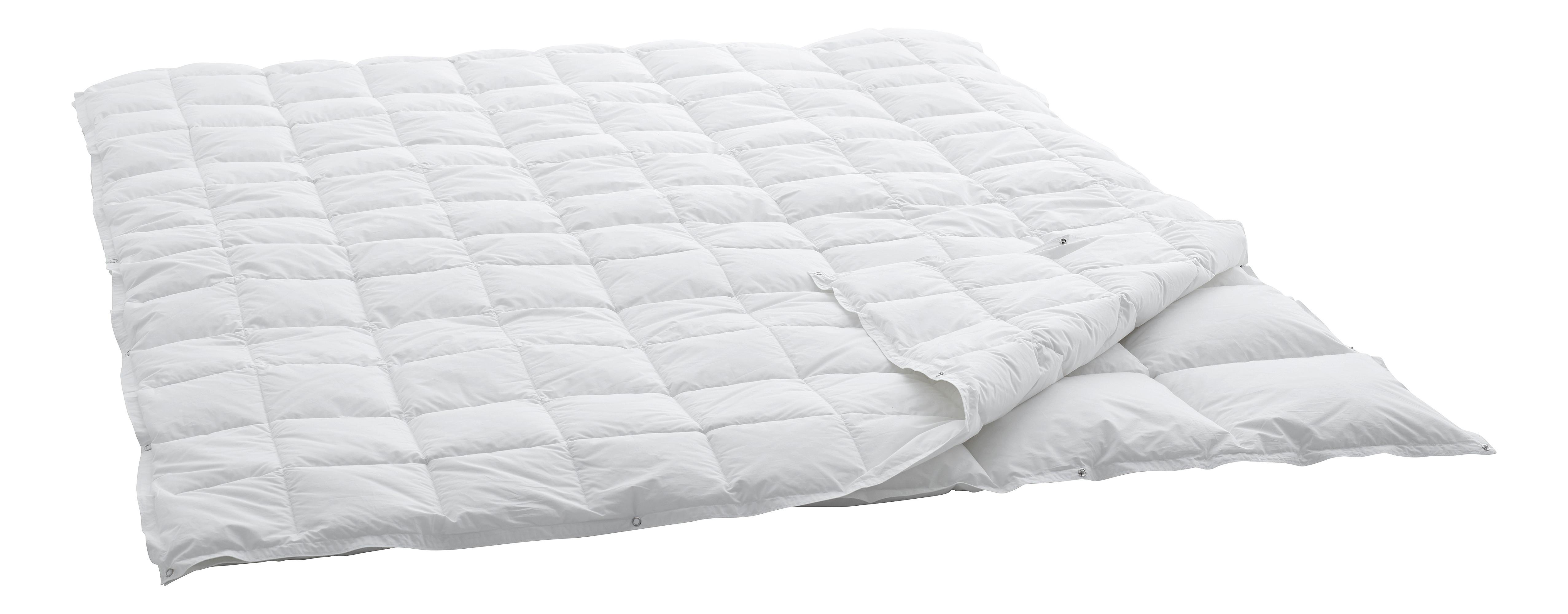 Swiss Dream Duvet Caro 4-Saisons Basic 90  