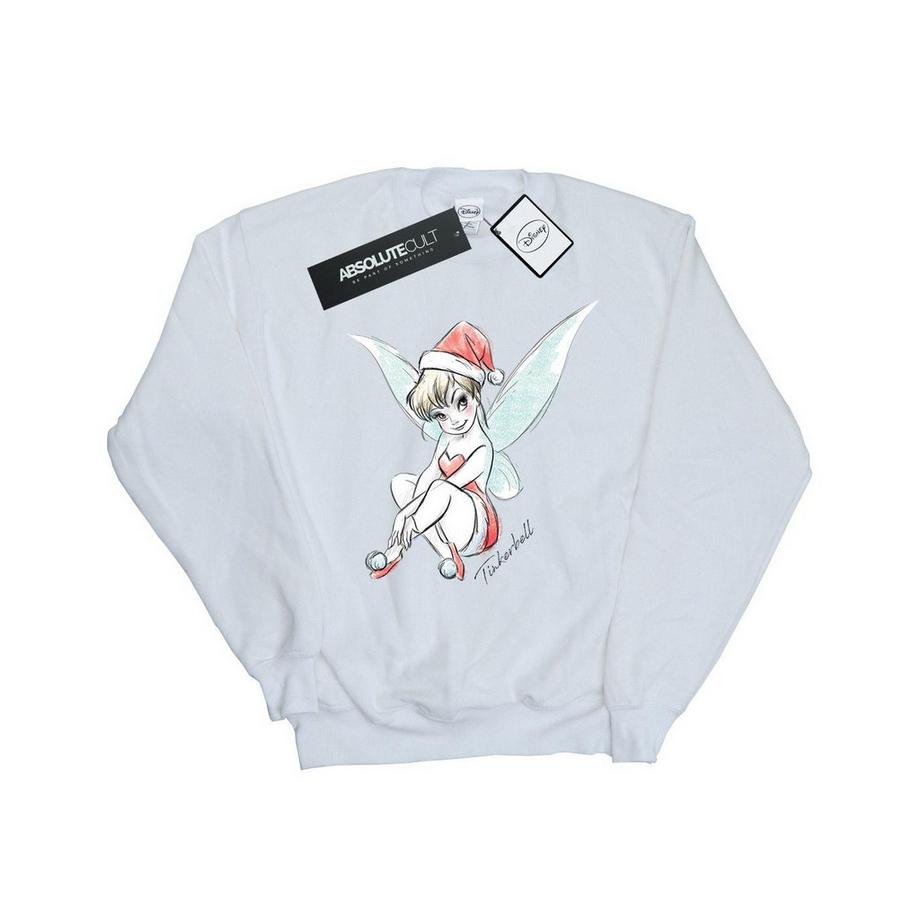 Disney  Fairy Sweatshirt 