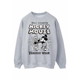 Disney  Sweatshirt 