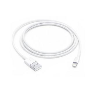 Apple  Caricatore Ricondizionato  Apple USBC 87W 2m 