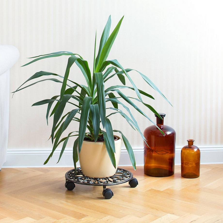 B2X Konstruktionswalze aus Gusseisen  