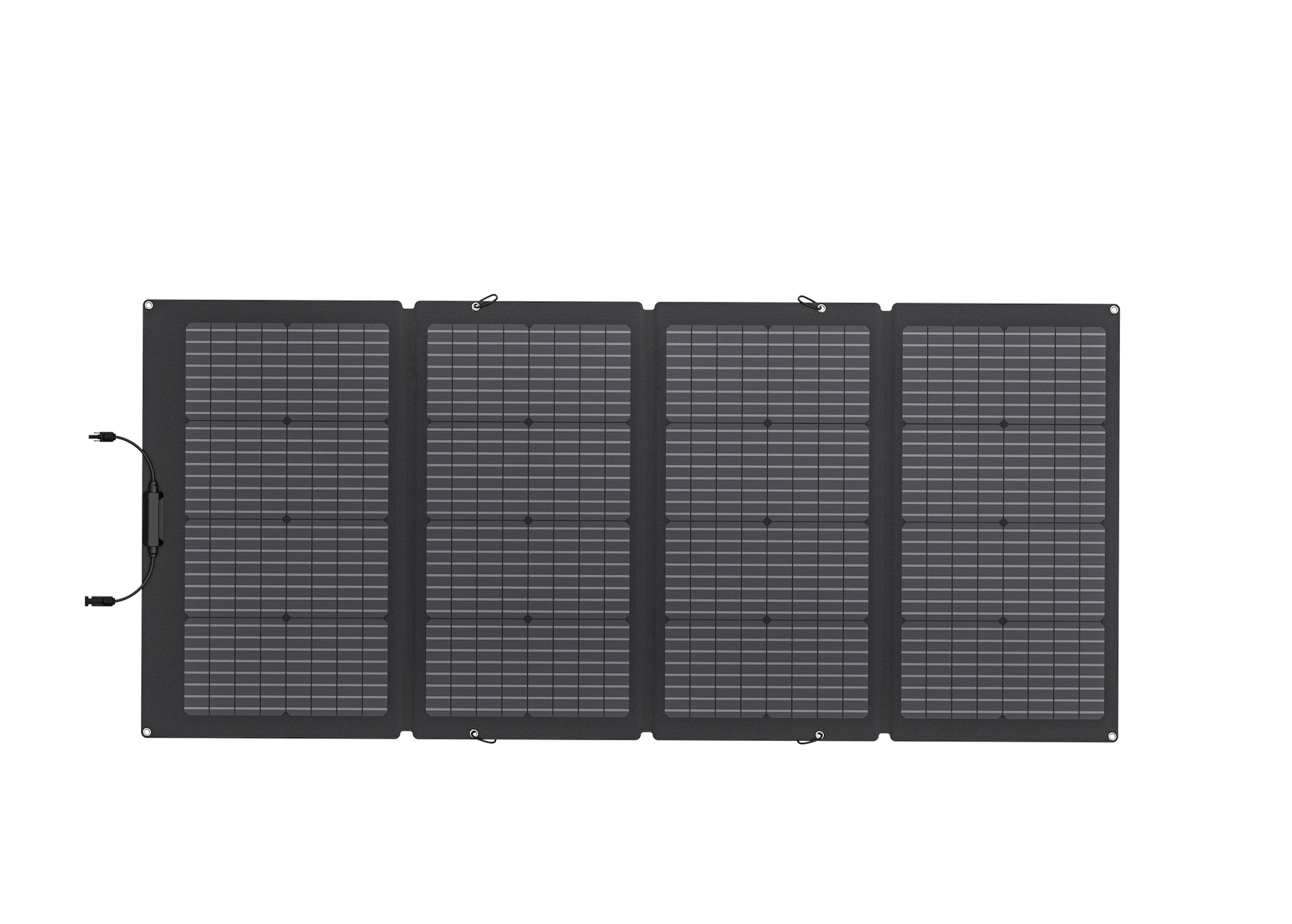 EcoFlow  220W-SOLP Biface 