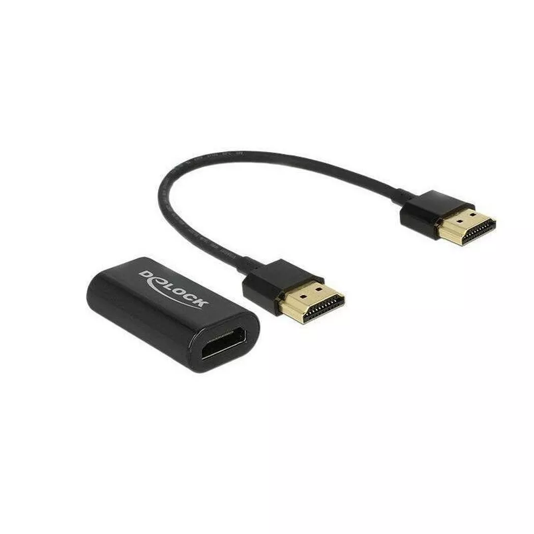 HDMI zu VGA Konverter - Delock