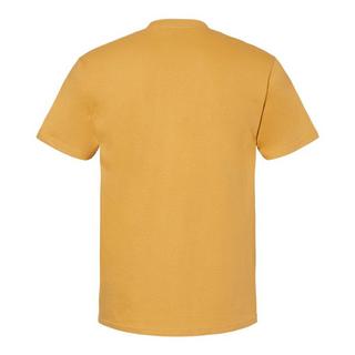Gildan  Softstyle TShirt 