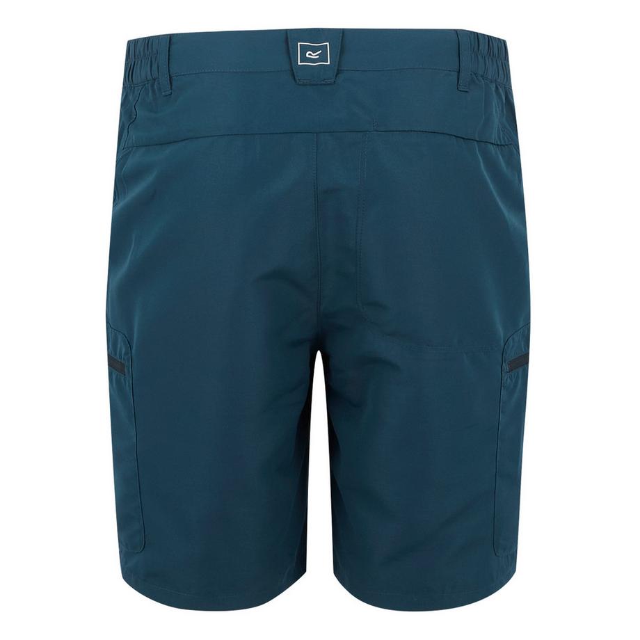 Regatta Leesville III Shorts  